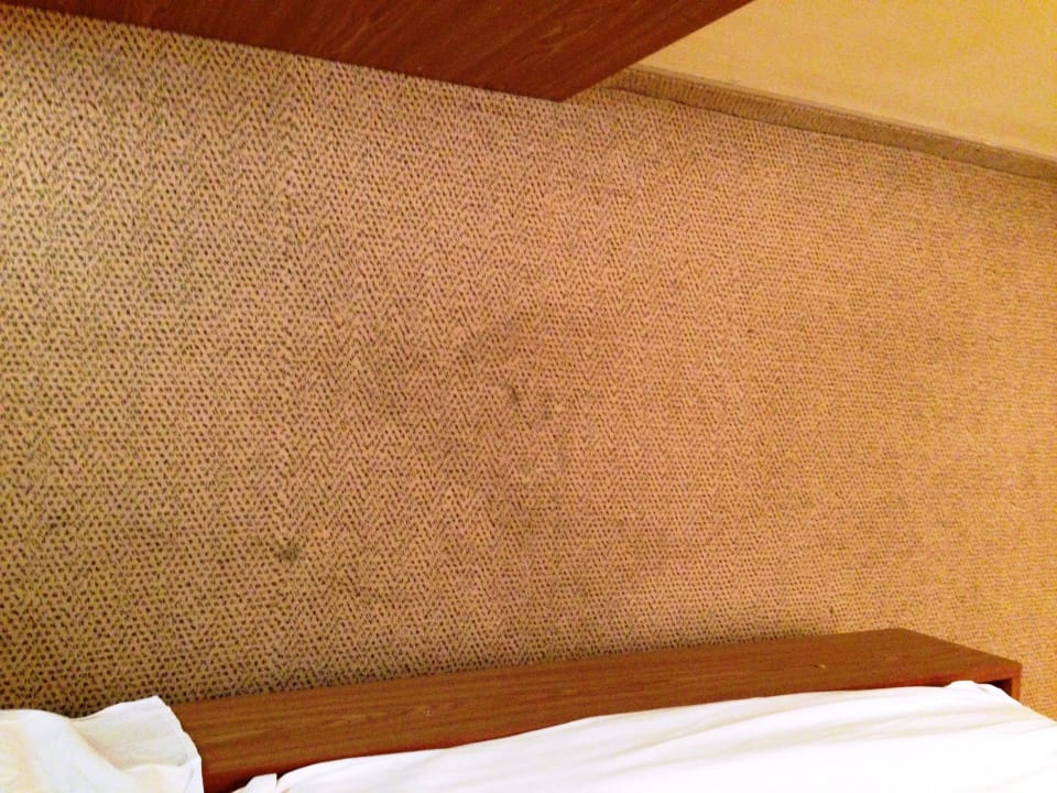 Wer nach Pilzen sucht ist hier richtig! Hotel Hrizantema