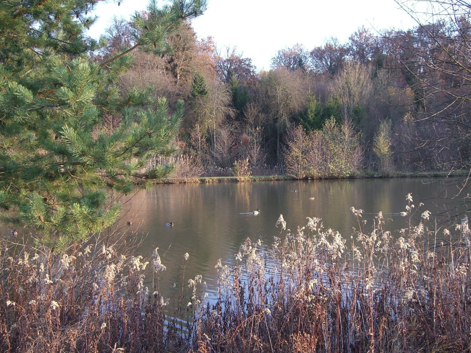 Spaziergang Reiters Finest Family Hotel