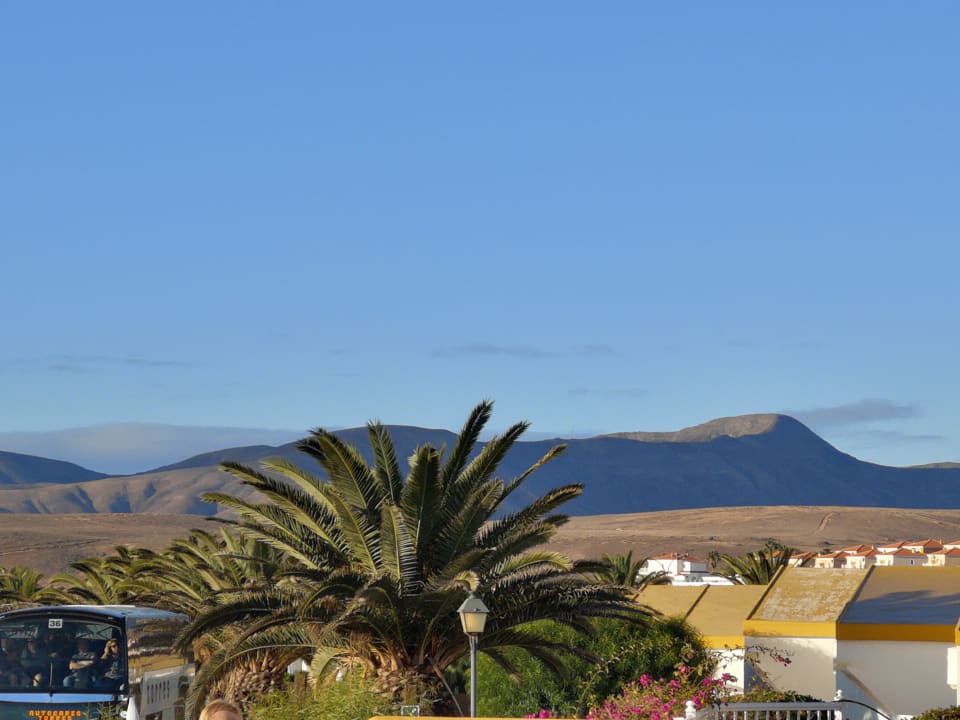 Ausblick MP Club Caleta Dorada