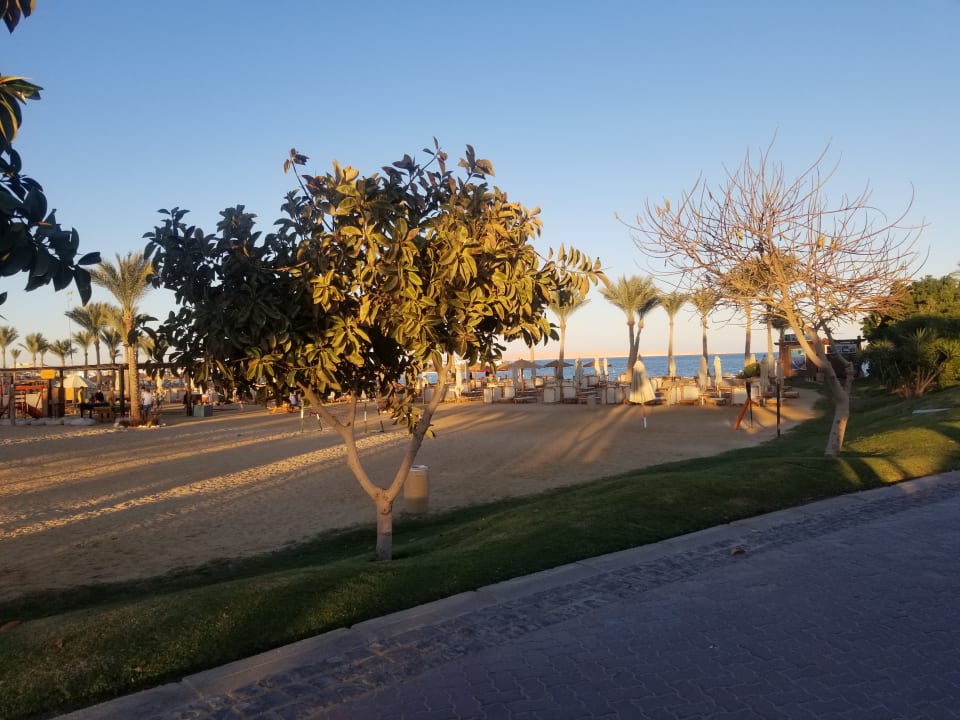 Gartenanlage Steigenberger ALDAU Beach Hotel