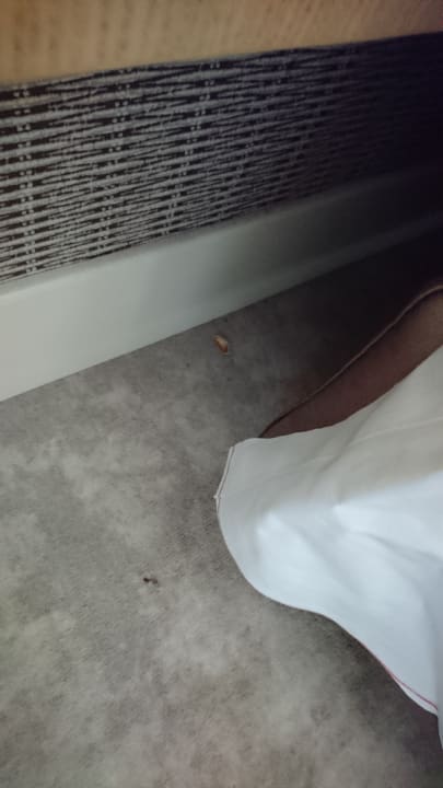 Zimmer Amadi Panorama Hotel