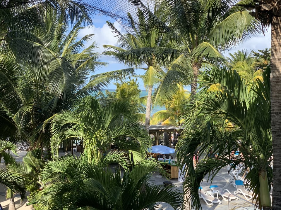 Ausblick Lagoon Attitude - Adults only