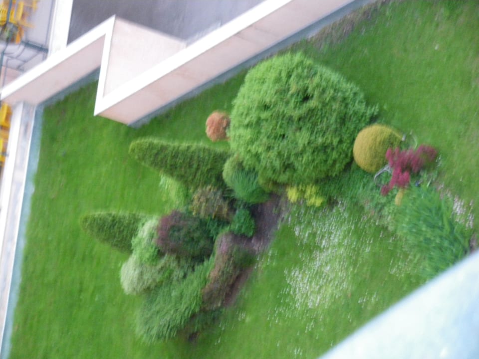 Schön geschnitten Hecken  Hotel Atlas