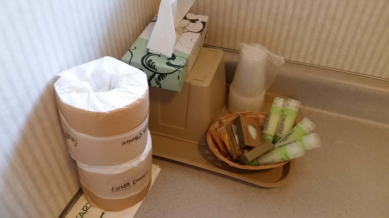 Bad Hotel Yosemite View Lodge