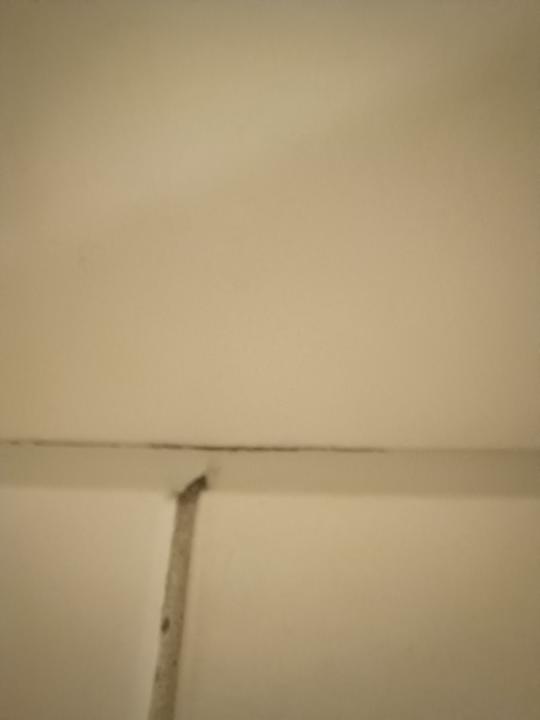 Zimmer Hotel Friesenhof