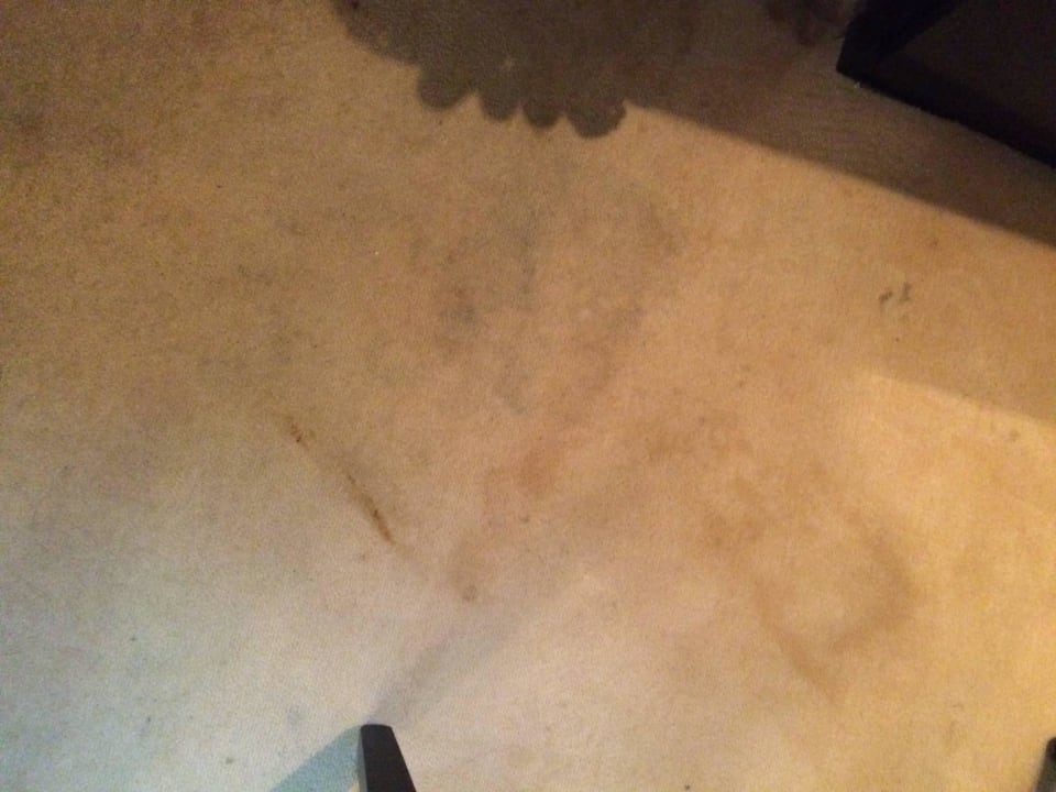 Flecken auf dem Teppichboden Zimmer 86 Relexa Hotel Bellevue Hamburg