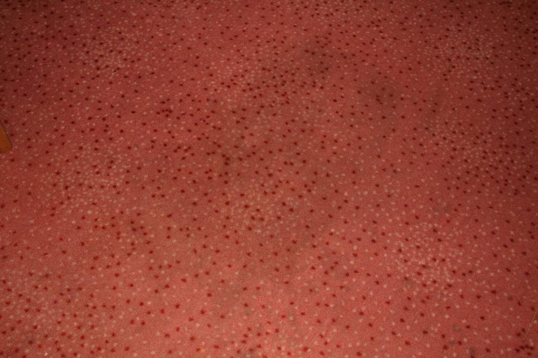 Teppichfleck Rivijera Villen & Dependance Flora & Madera