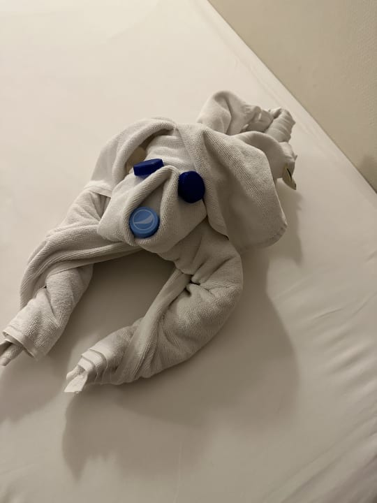 Zimmer Can Garden Resort