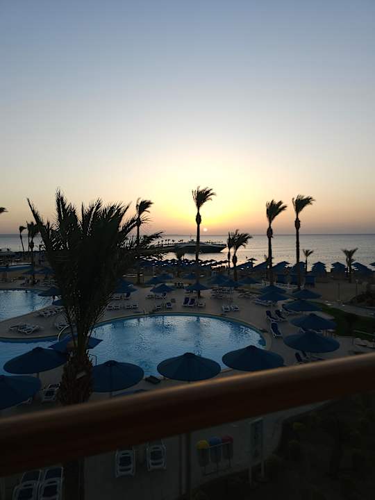 Pool Beach Albatros Resort
