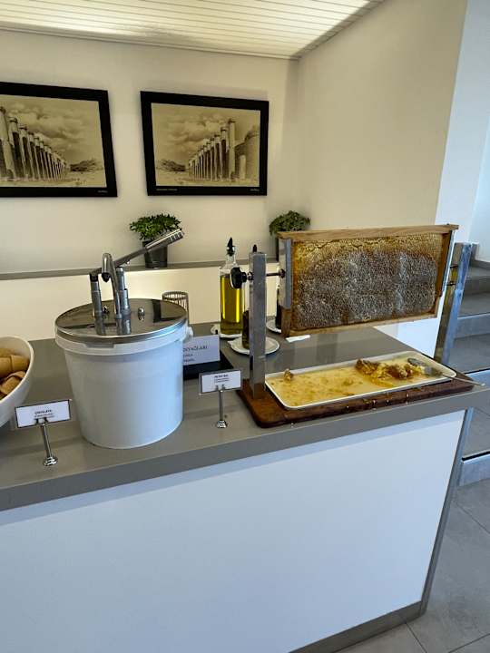 Gastro Club Resort Atlantis