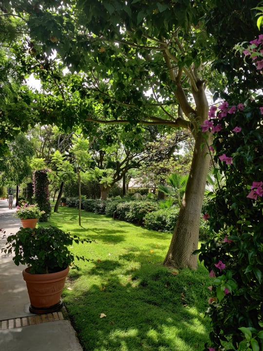 Gartenanlage TUI MAGIC LIFE Calabria