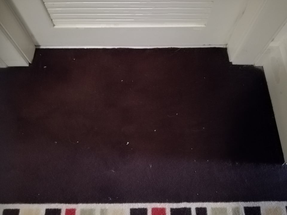 Zimmer H10 Estepona Palace