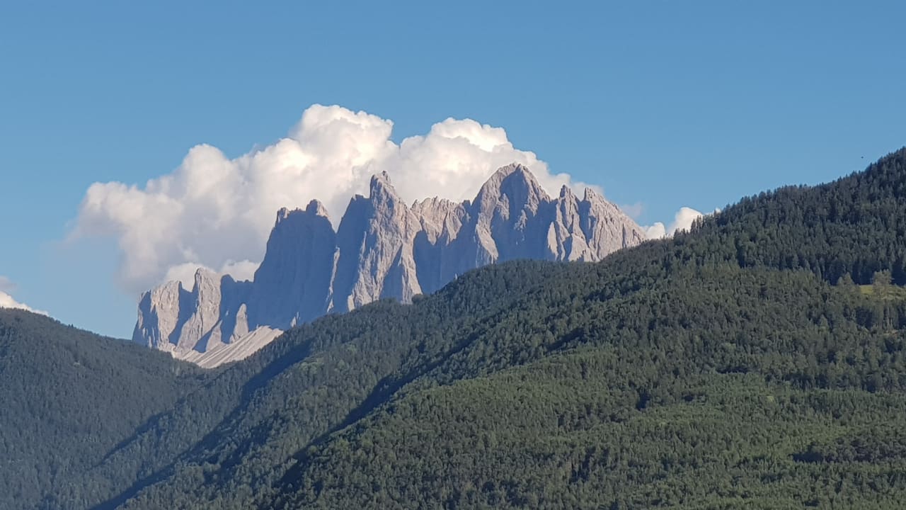 Ausblick Landgasthof Wöhrmaurer