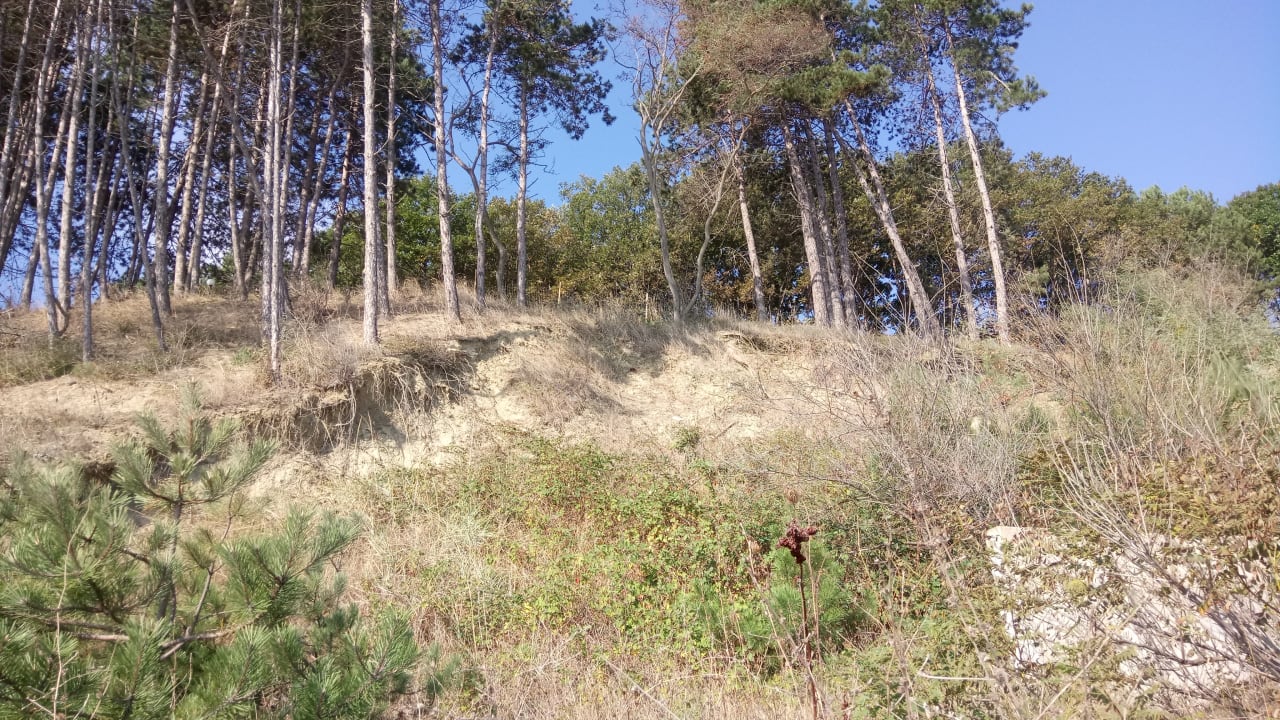 Ausblick Sol Luna Bay