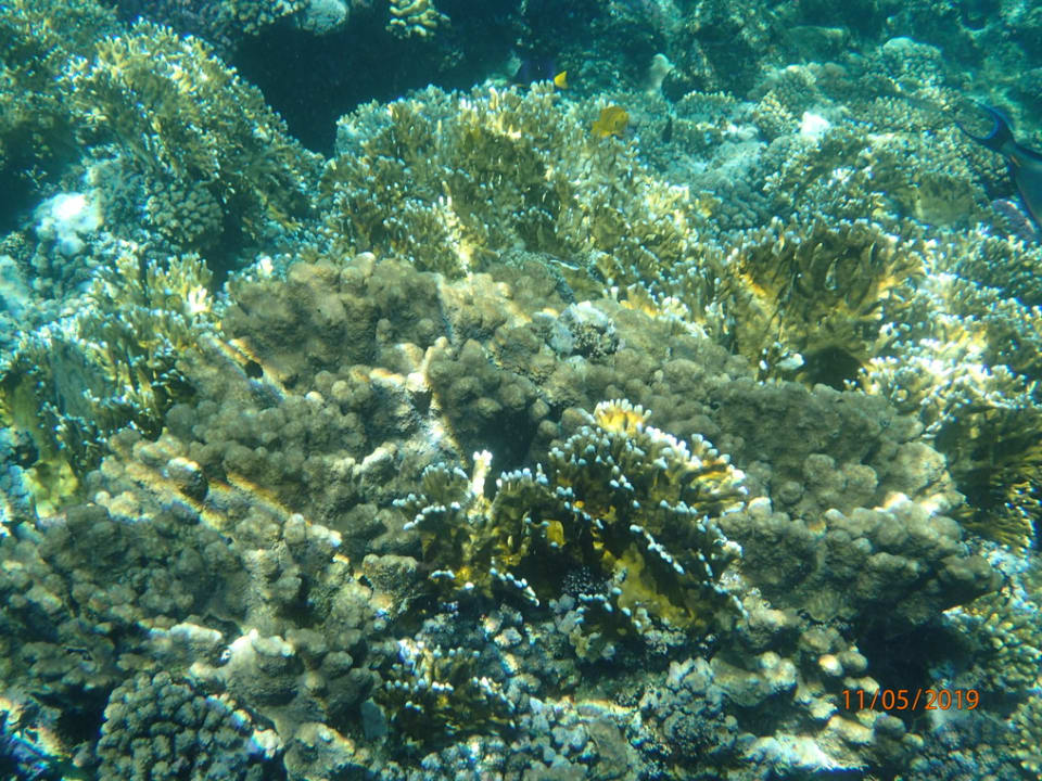 Strand Casa Mare Resort