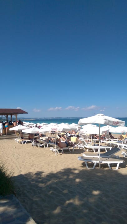 Strand mit Beachbar GRIFID Aqua Club Bolero