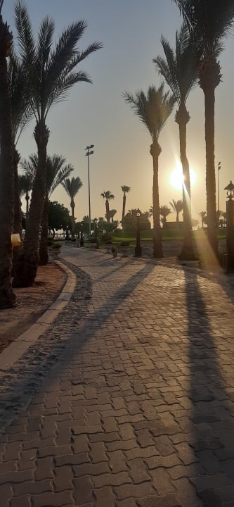 Strand Steigenberger Aqua Magic