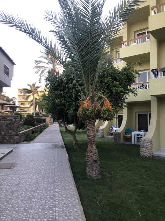 Gartenanlage Palm Beach Resort