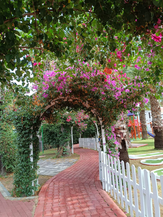 Gartenanlage Hane Family Resort