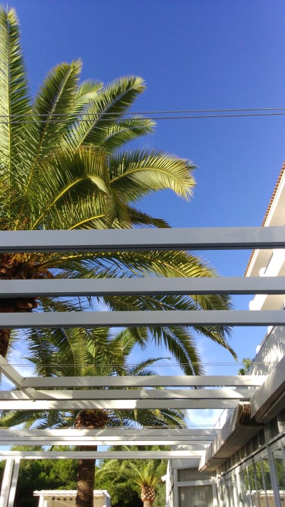 Sonstiges Millor Sol