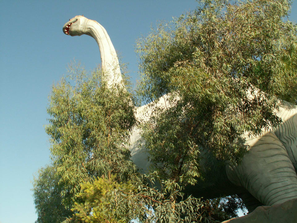 Wielki Dinozaur Pickalbatros Aqua Blu Resort - Sharm El Sheikh
