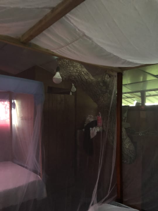 Zimmer Hotel Bentota Village