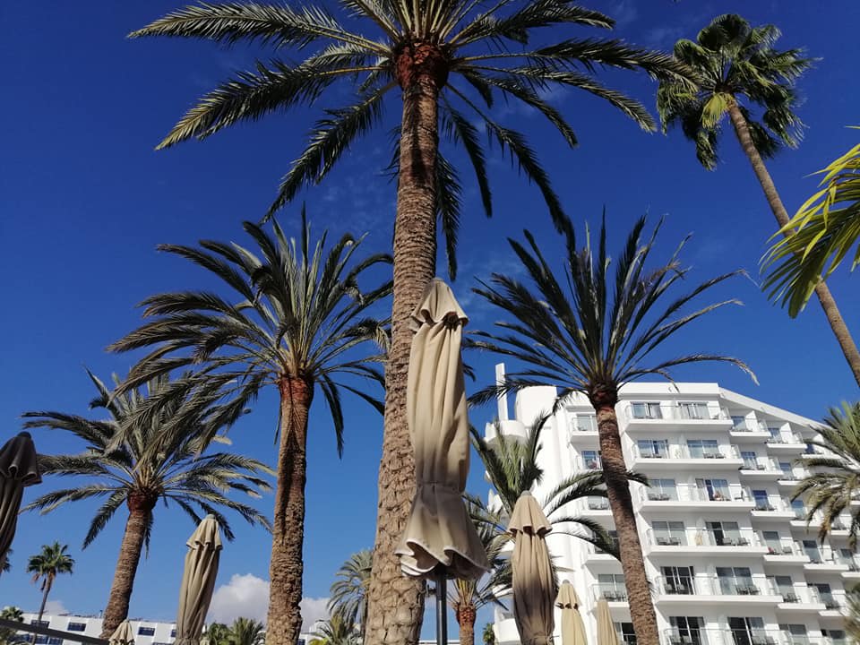 Sonstiges Hotel Riu Papayas