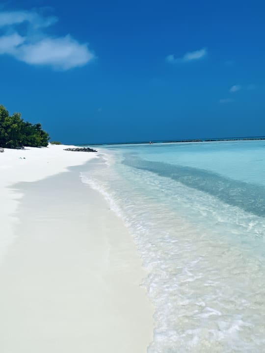 Strand Summer Island Maldives