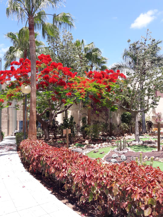 Sport & Freizeit MUR Hotel Faro Jandia & Spa Fuerteventura