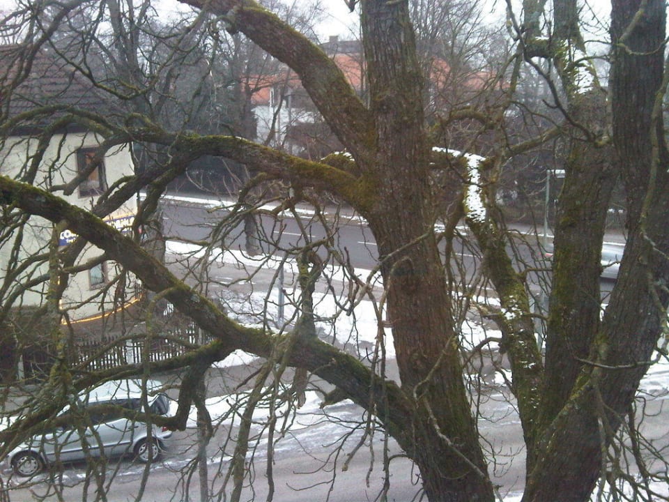 Blick auf die Hauptstr. Alte Allee Hotel Jagdschloss