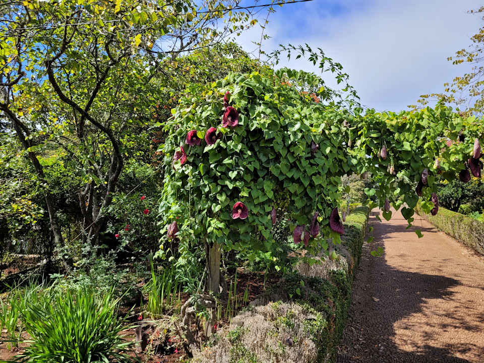 Gartenanlage Hotel Casa Velha do Palheiro