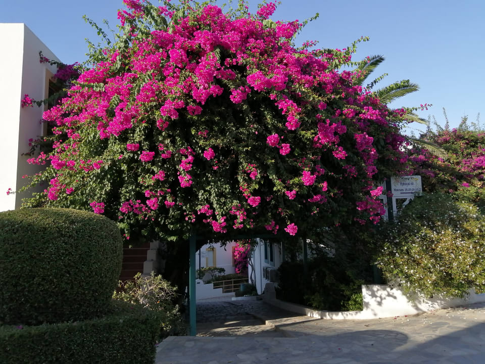 Sonstiges Mastichari Bay Hotel