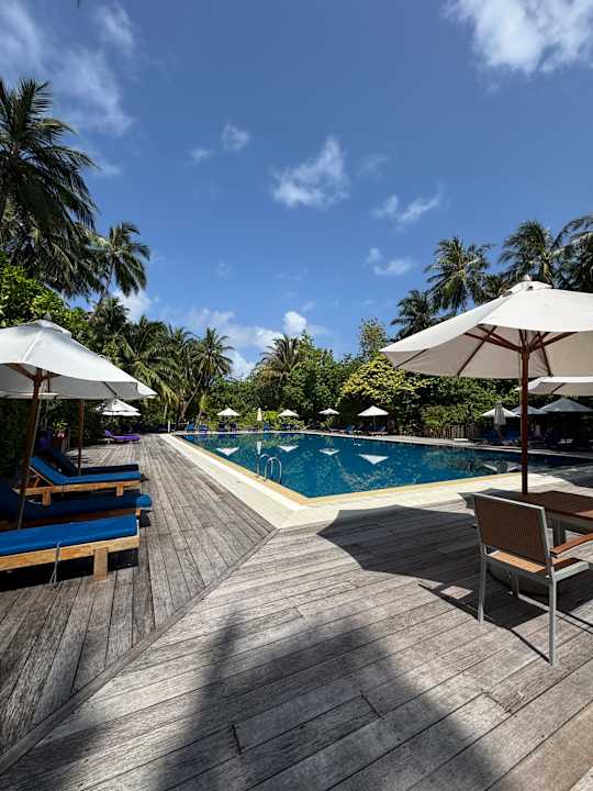 Pool Vilamendhoo Island Resort & Spa