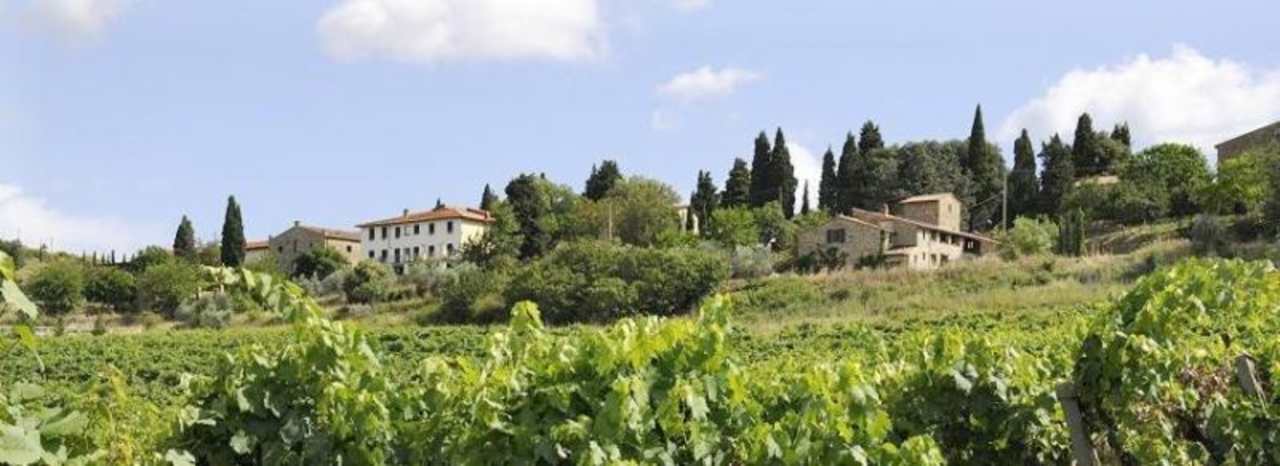 Panoramic view Montelucci Country Resort