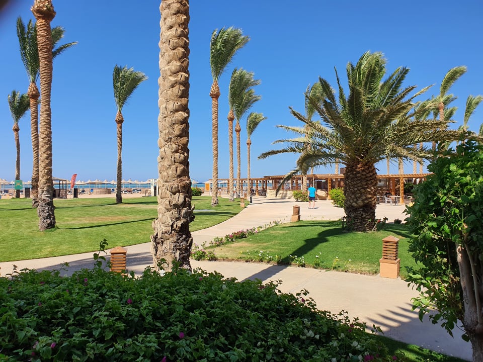 Gartenanlage Apartment in Stella di Mare Hurghada