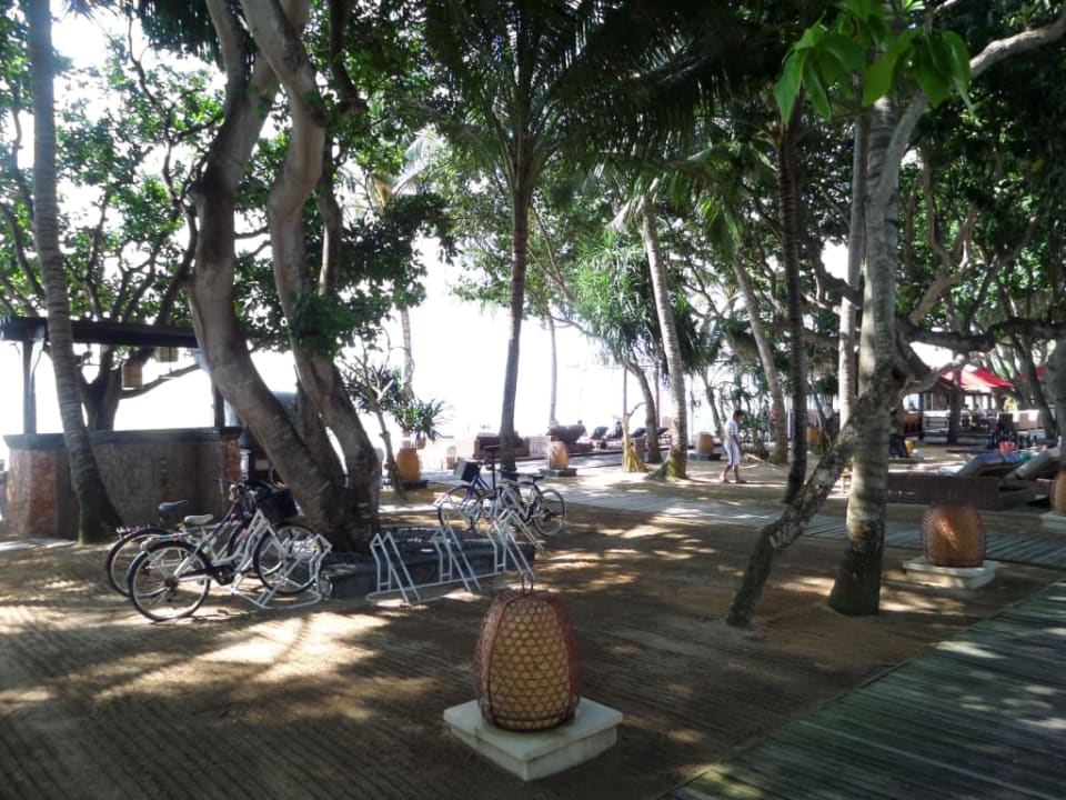 Ogród Puri Santrian