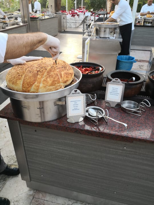 Gastro Papillon Belvil