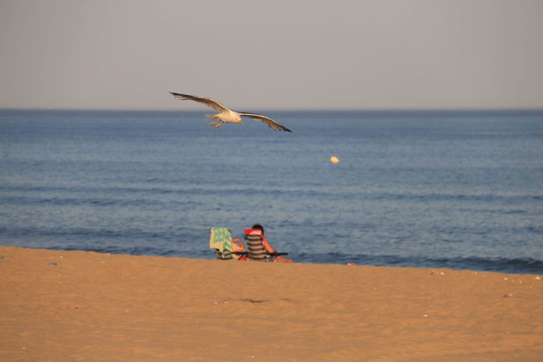Am Strand TUI BLUE Isla Cristina Palace