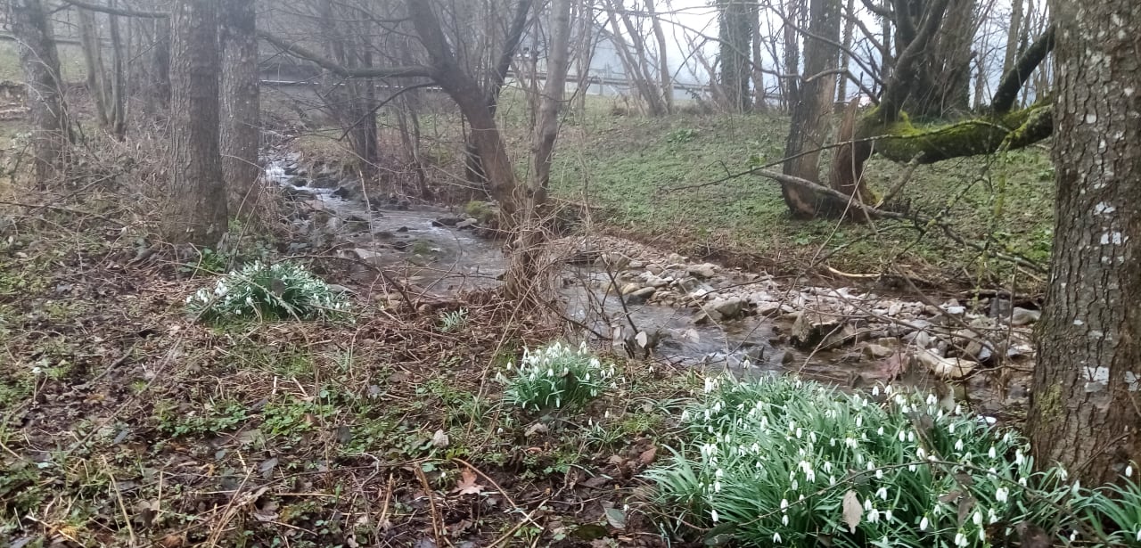 Gartenanlage Bauernhof Schreinerhäusle