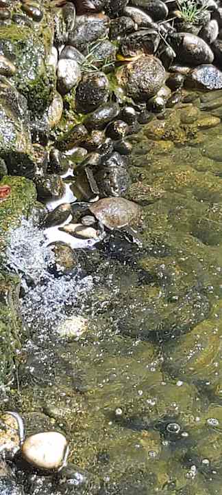 Gartenanlage Aqua Fantasy Aquapark Hotel & Spa