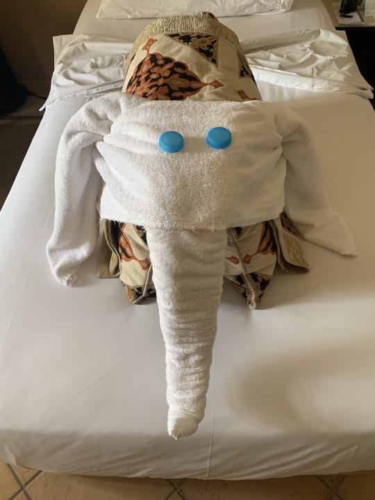 Zimmer Steigenberger Coraya Beach - Adults only