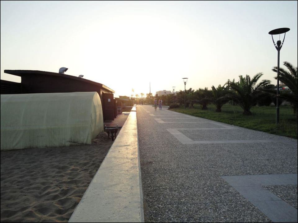 Promenade  Aydinbey Kings Palace & Spa