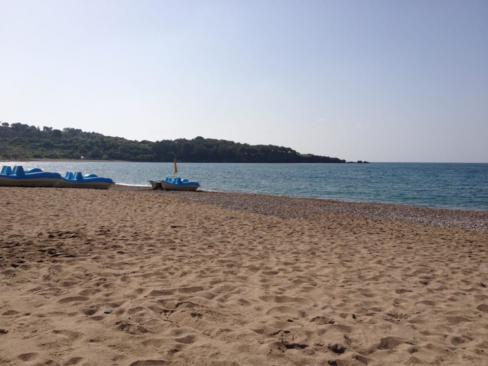 Aussicht von der Liege Hotel Gardenia Beach