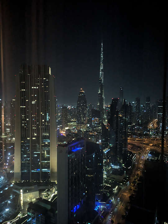 Ausblick Rose Rayhaan by Rotana