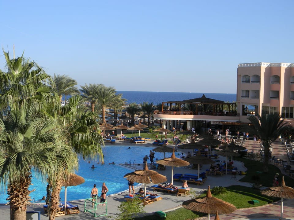 Вид из номера Beach Albatros Resort