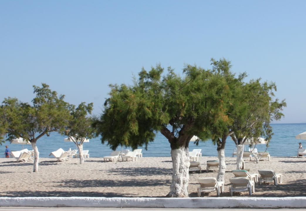 Strand vor dem Hotel Hotel Tigaki Beach