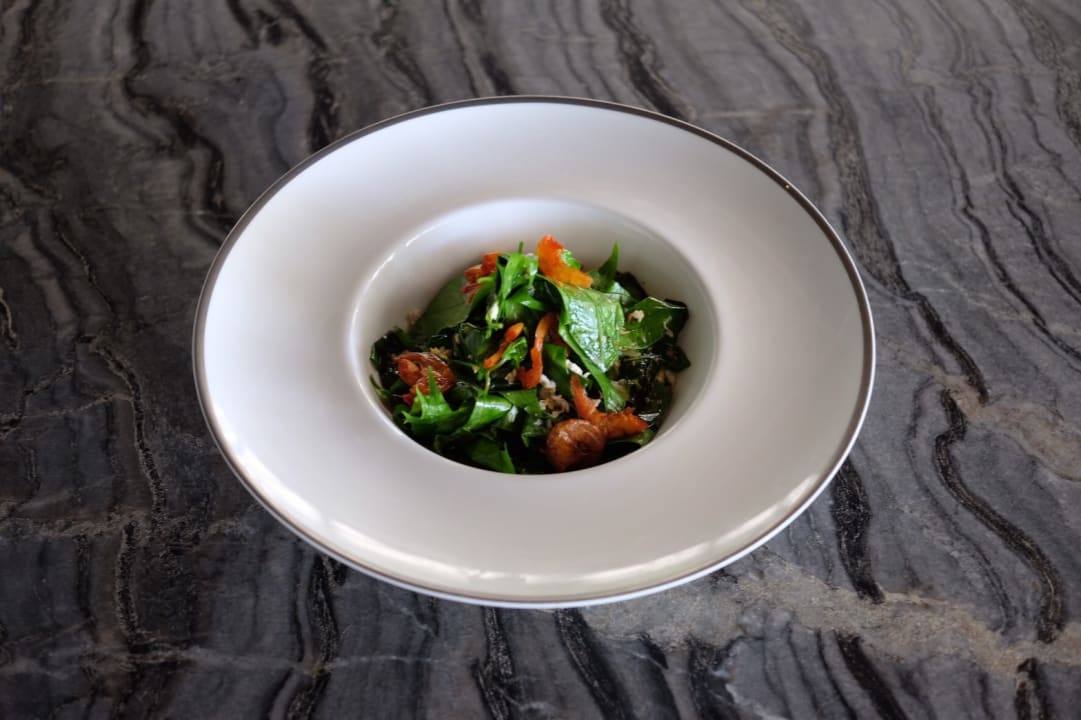 Gastro Amatara Welleisure Resort