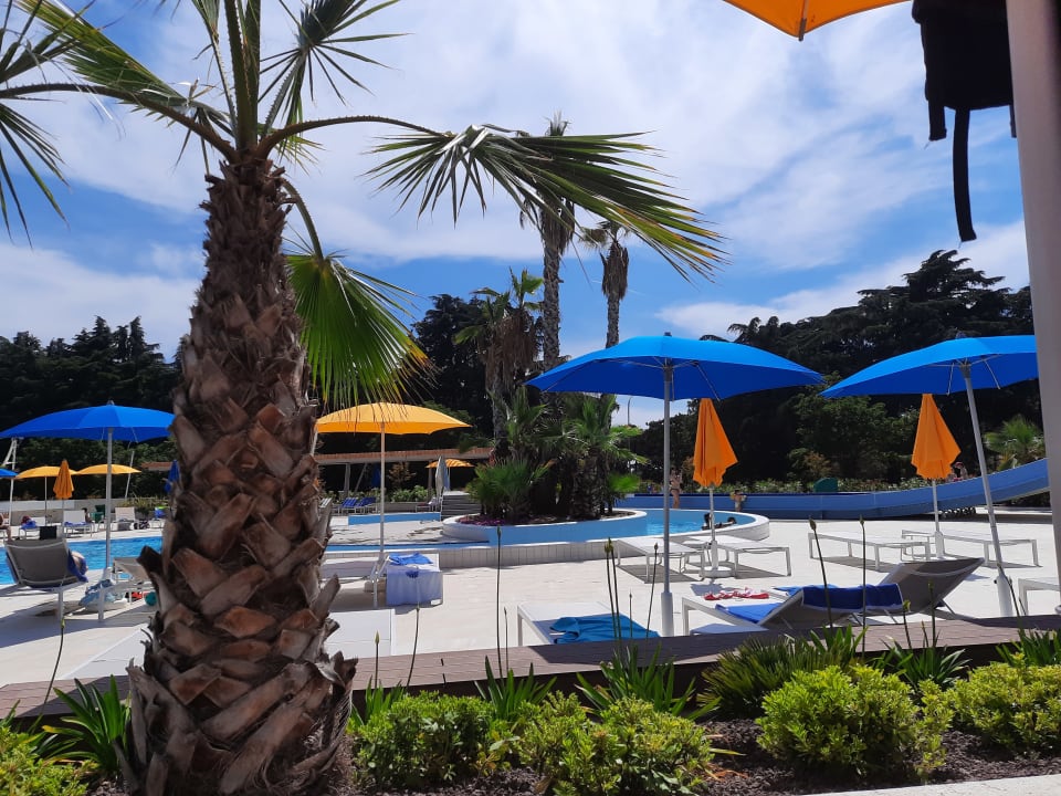 Pool Valamar Parentino Hotel