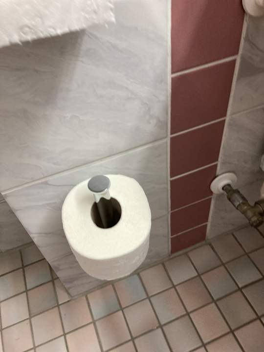 Zimmer Best Western Parkhotel Brehna - Halle