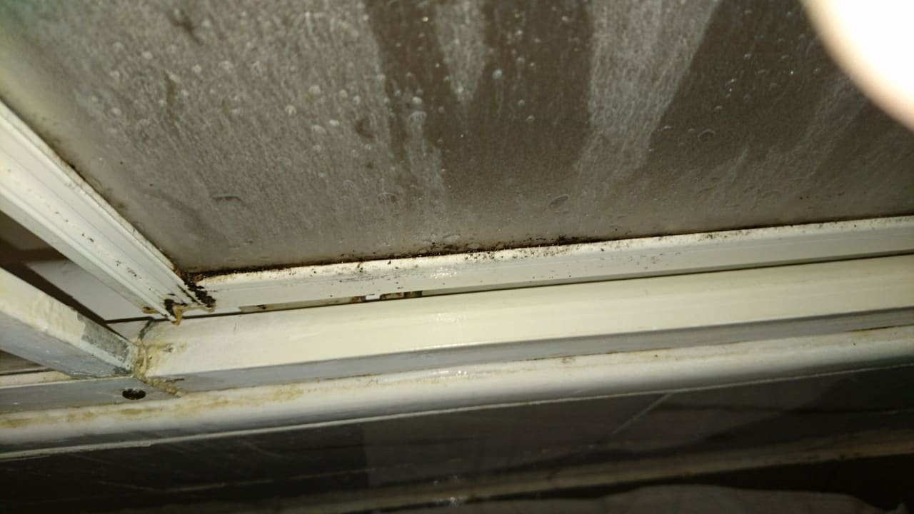 Zimmer Asteria Collection Side